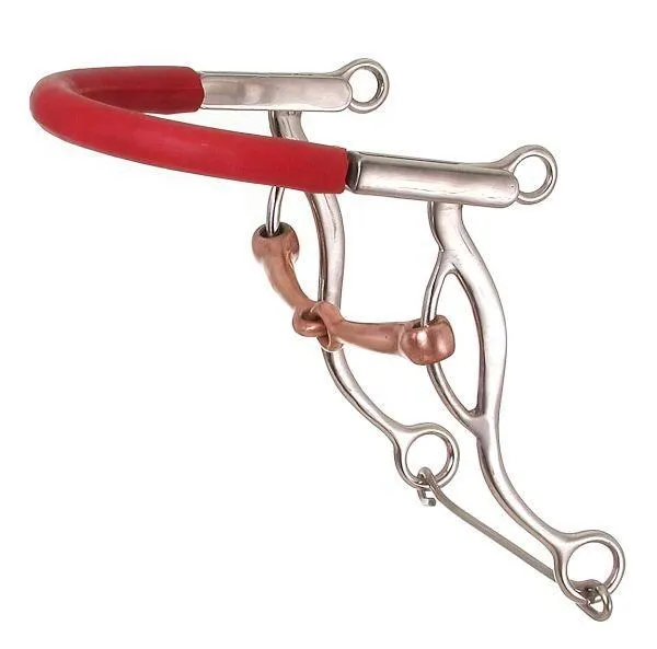 Kelly Silver Star Gag Snaffle Hackamore - Stainless Steel - 5" mouth