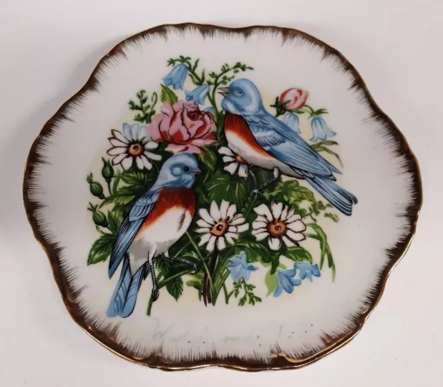 Vintage WILDWOOD NewJersey Plate, Blue Birds w/flowers, Souvenir Collector, Lego