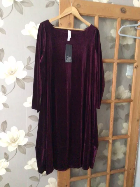 Marlawynne velvet deals balloon dress