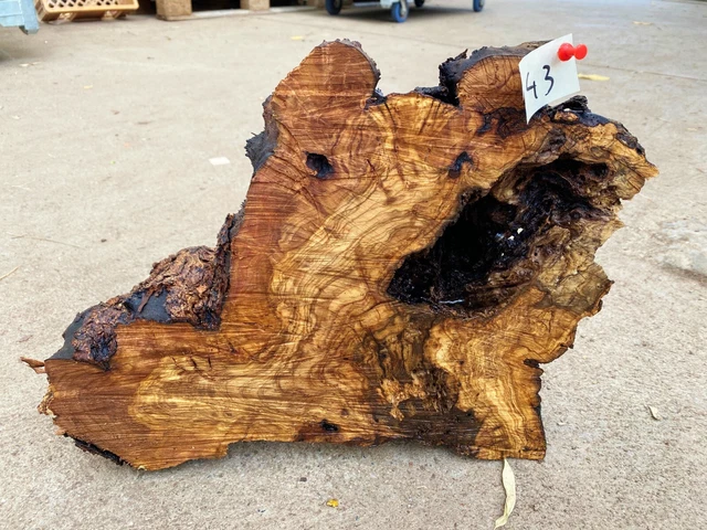 Olivenholz, Olive, Holz zum Basteln, Schnitzen, Drechseln, 5.2 kg Deko-Objekt