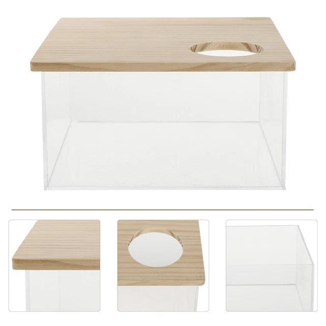 Criceto acrilico sandbox criceto scatola abbonamento criceto doccia bagno sabbia