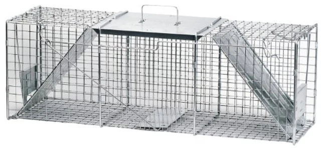 Havahart 1045 Live Animal Two-Door Raccoon, Stray Cat, Opossum, and Groundhog Ca