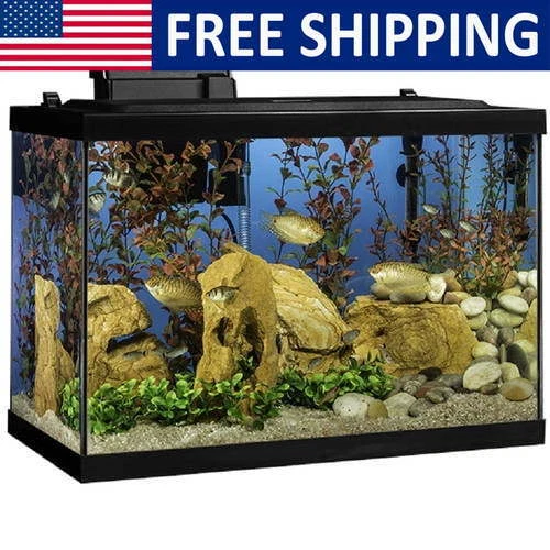 20 Gal LED Glass Aquarium Starter Kit W/Filter Heater & Plants Scratch-resistant