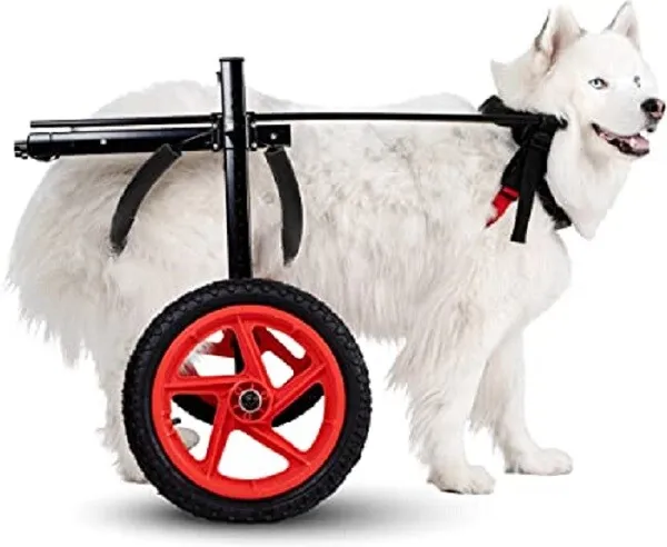 Used Large Pro Model Dog Wheelchair By Best Friend Mobility