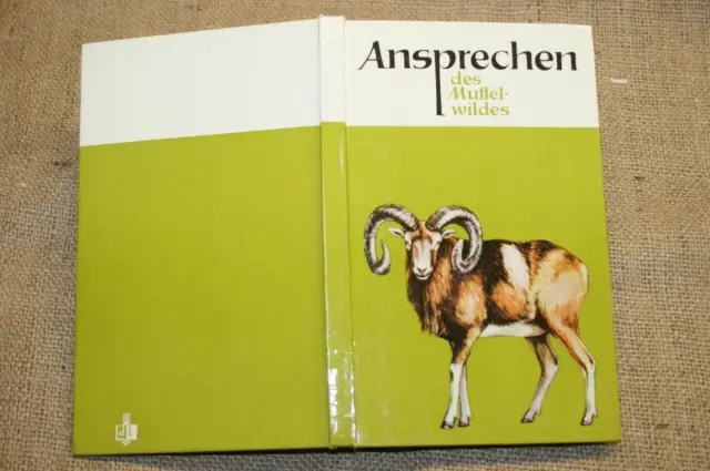 Fachbuch Jäger, Ansprechen Muffelwild, Trophäen, Jagdpraxis, Widder, DDR 1973