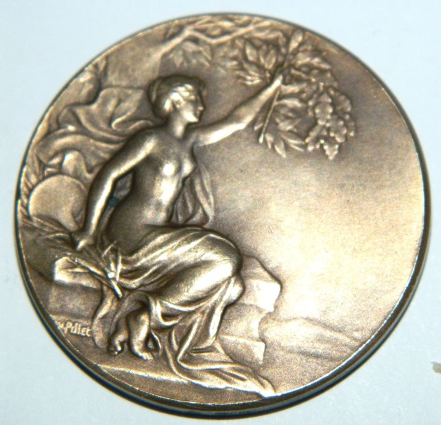 Médaille Grande Caisse Des Ecoles 15e Arr. Paris 1904 Par Oscar Roty - Bronze - Vintage