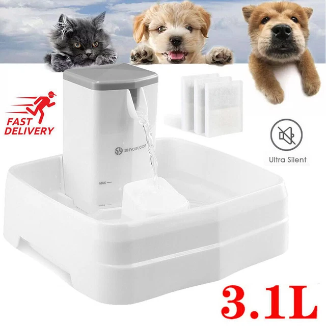 Näpfe Und Trinkbrunnen Aus Edelstahl Für Katzen Online Kaufen