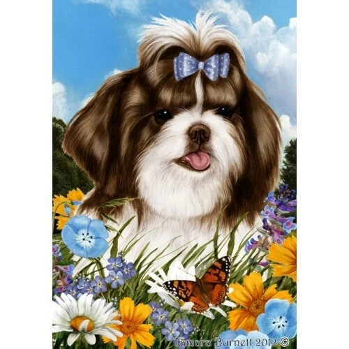 Summer Garden Flag - Brown and White Shih Tzu 181751