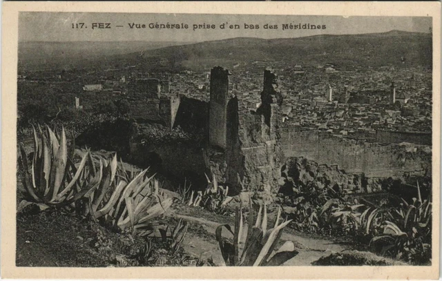 CPA AK MAROC FEZ Vue générale (10199)