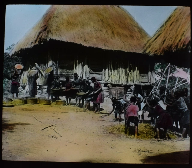 ANTIQUE Magic Lantern Slide PREPARING MILLET C1910 PHOTO AFRICAN AFRICA