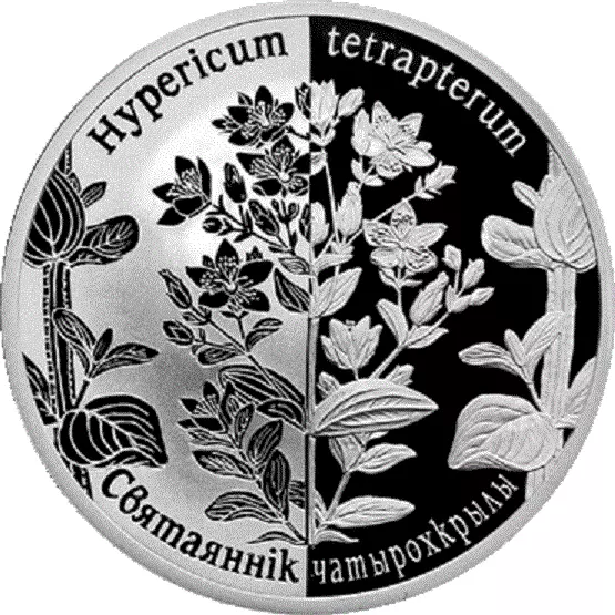 Belarus 2013, SQUARE-STEMMED ST. JOHN’S WORT. Perennial plant, 20 rubles, Silver