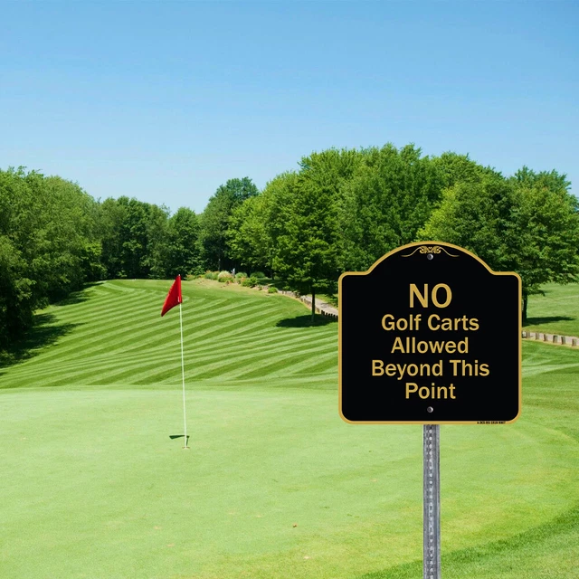 Designer Series Parallel to Curb Parking Only with Bidirectional Arrow Sign 3