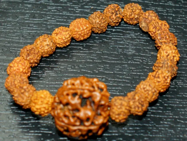 Rudraksha Rudraksh Bead Bracelet Wrist Band Wristband Mala Yoga Hindu Meditation