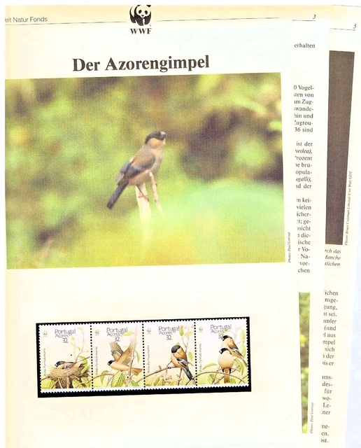 WWF 1990 Azoren Der Azorengimpel Mi.Nr. 405-08 **/MNH mit Beschreibung