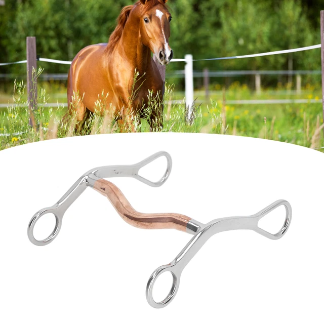 Horse Mouth Bit Stainless Steel Horse Breaking Bit Wear Resistant Corrosion LT