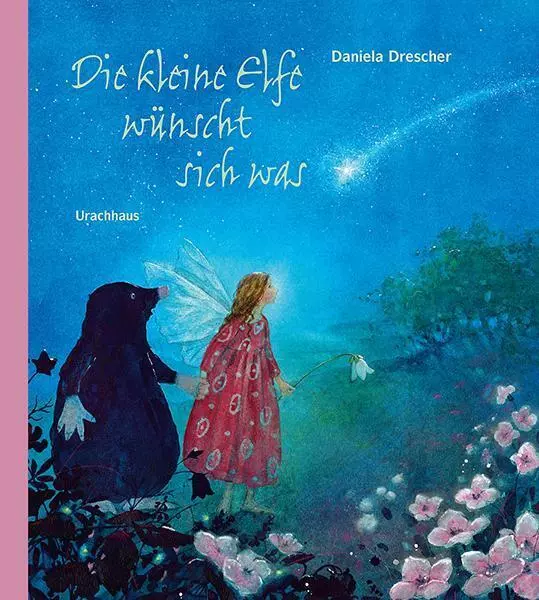 Die kleine Elfe wünscht sich was | Daniela Drescher | Buch | 28 S. | Deutsch