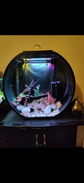 Fish R fun fish tank