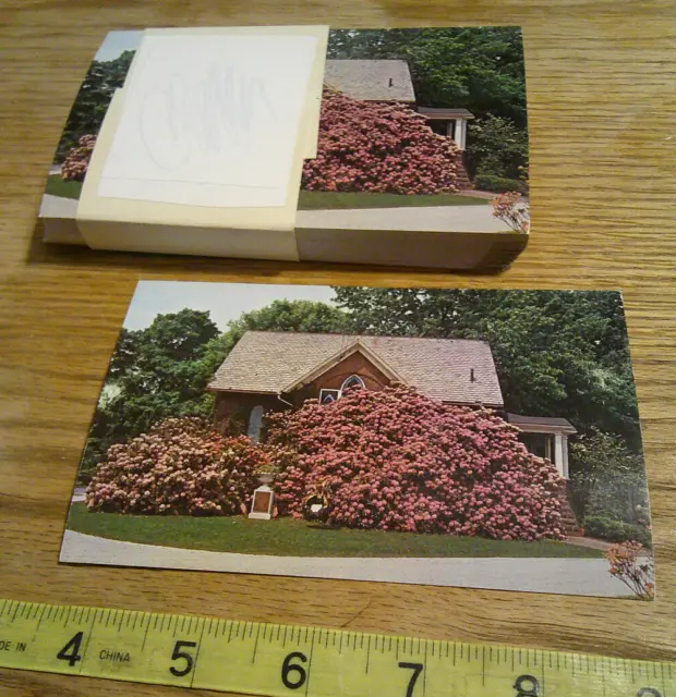 Vintage Lot 45+ Rhdodendrons Oakwood Cemetery Cuyahoga Falls Ohio all same scene