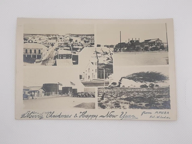 Merry Christmas Happy New Year Aruba RPPC Real Photo Postcard Tree Blown Bent