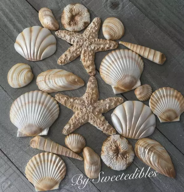 20 Piece Edible Sugar Gum Paste Seashells Fondant