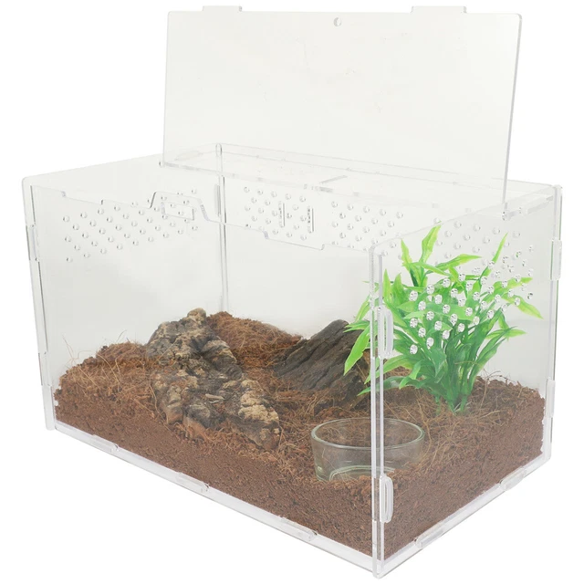 SNAKE BREEDING BOX Tarantula Enclosure Spider Breeding Box Reptiles ...