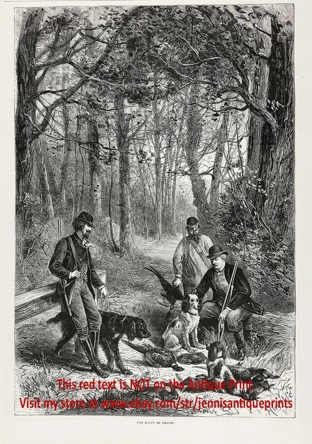Dog Gordon Setter & Springer Spaniels after Hunt, 1870s Antique Engraving Print