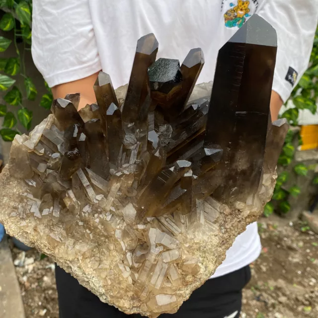 11lb Large Natural  Smoky Black Quartz Crystal Cluster Raw Mineral Specimen