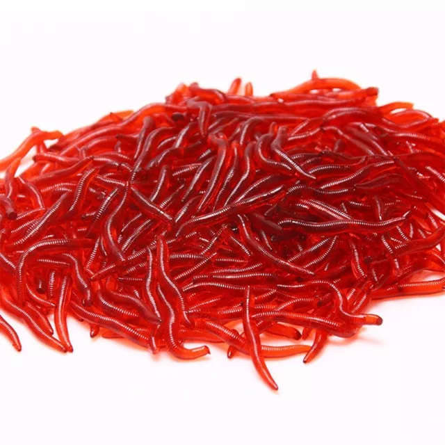 Outils Earthwarm Appât Pêche Leurre 100pcs Fishy Odeur Red Silicone Appâts Doux