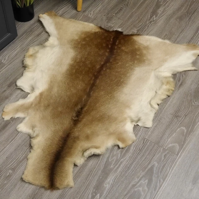 Sikahirsch Piel Ciervo Alfombra Decoración Longitud 130CM 3