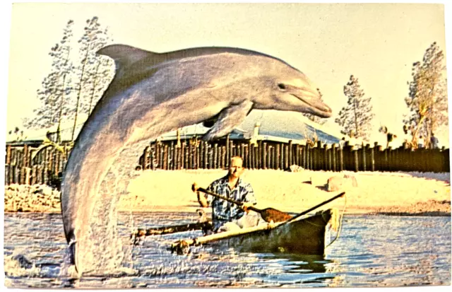 Sea World Lagoon Fisherman's Surprise California  Vintage Postcard