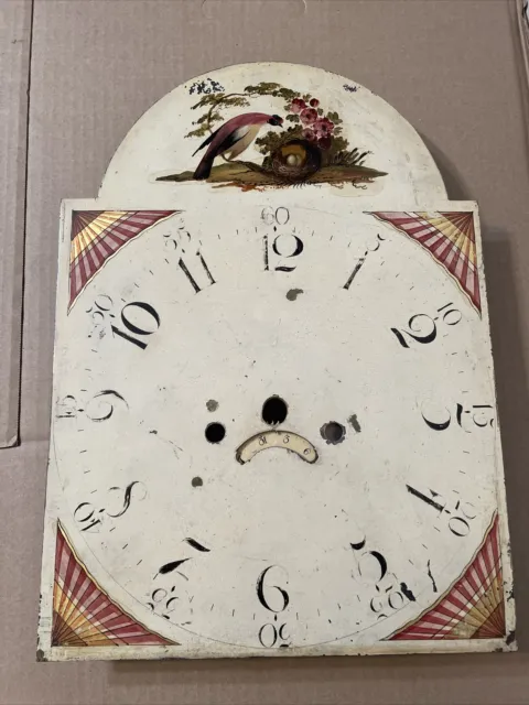 Antique English 8 Day Longcase Grandfather Clock Dial w/ painted Bird & Nest