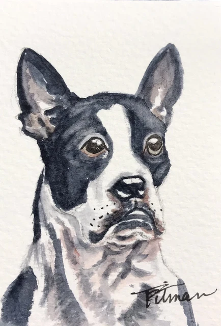 ACEO ATC  original Watercolor “Boston Terrier”