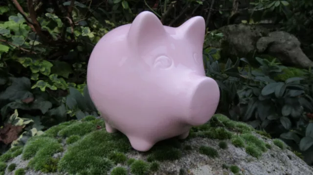 Pink Pig Piggy Bank Money Box Pottery