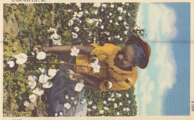 Black Americana Post Card - Woman Picking Cotton