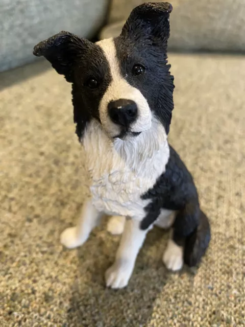 Border Collie, Dog Figurine  Border Fine Arts  Jess  Castagna  Italy