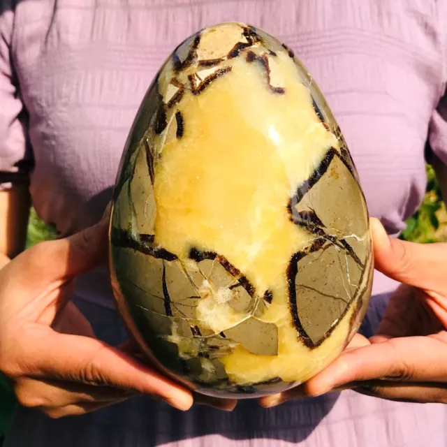 3050g High Quality Large Natural Dragon Septarian Septarium Crystal Egg Specimen