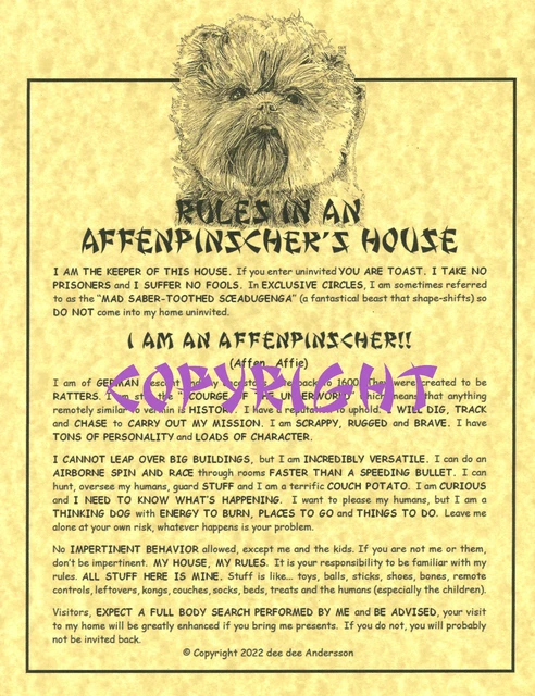 Rules In An Affenpinscher's House Rules In An Affenpinscher's House