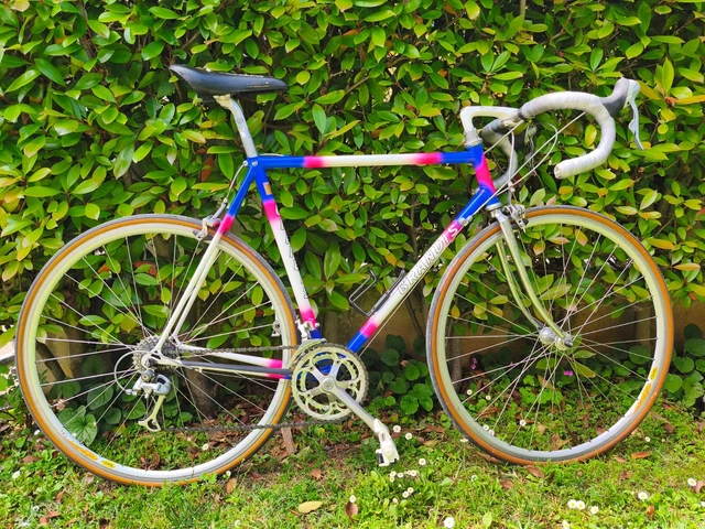 Bicycle De Grandis Bici Frame Bici Da Corsa Grandis Grandis Cicli