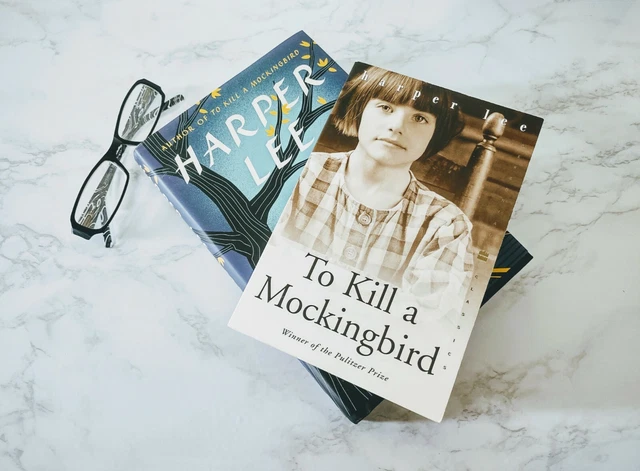 To Kill a Mockingbird Paperback 2002  Go Set A Watchman 2015 First Edition