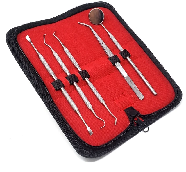 PROFESSIONAL DENTAL ORAL KitScaler Probe Pick SET MirrorTools German