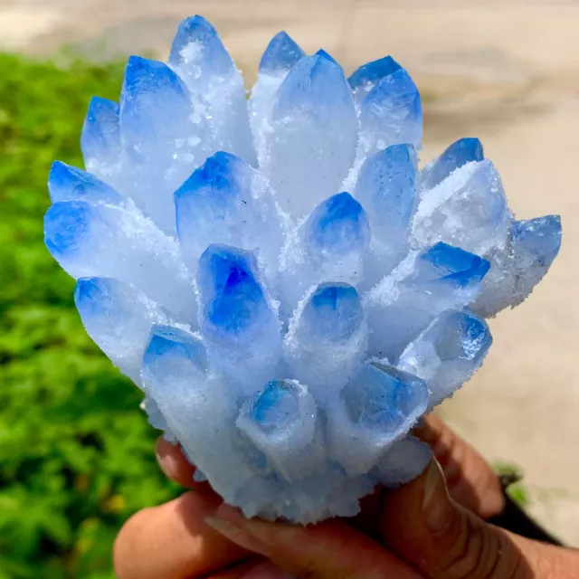477G New Find Blue Phantom Quartz Crystal Cluster Mineral Specimen Healing