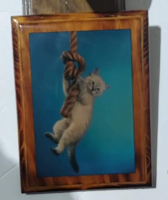 Vintage Epoxy Resin Folk Art Kitten Cat Hanging On A Rope Wood Plaque