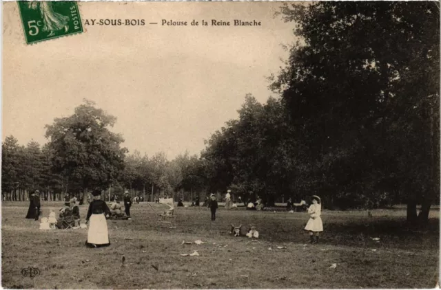 CPA AK Fontenay under wood lawn of the White Queen FRANCE (1282749)