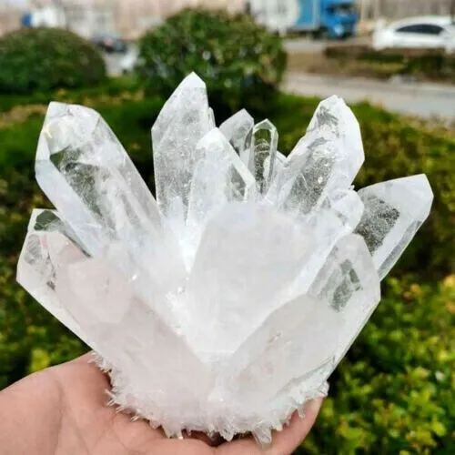 New Find white Phantom Quartz Crystal Cluster Mineral Specimen Healing 300g+/1pc 9