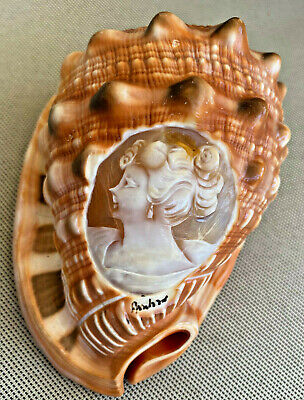 Carved Seashell Shell Sea Woman Cameo Italy Italian Signed Vintage Beautiful #B
