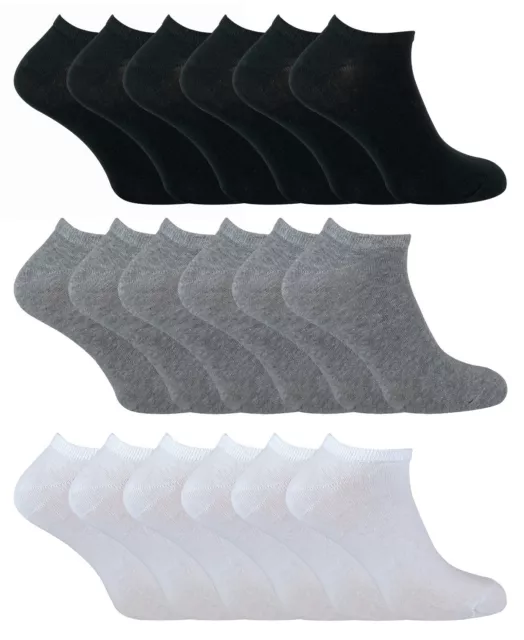 Sock Snob - 6 Paia Uomo Sportive Tinta Unita Corte Calze in Cotone per Sneaker