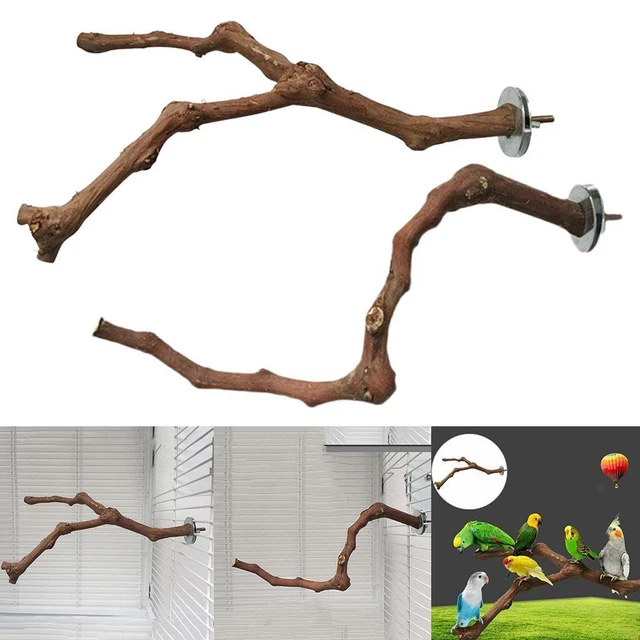 Holz Papagei Vogelständer Ast Plattform Spielzeug Sitzstangen Käfig Zubehör