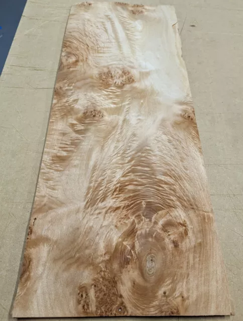 Maple Burl Cluster wood veneer sheet 10" x 28" raw no backing 1/42" thickness