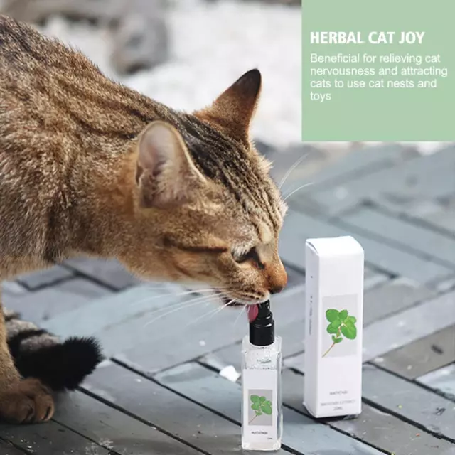 Herbal Cat Joy, spray de hierba gatera para gatos, spray de hierba gatera para gatos de interior DE