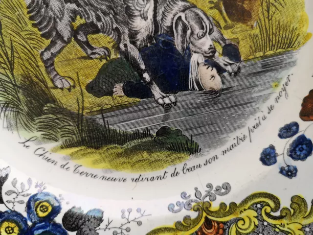 Assiette polychrome  creil thème Le chien de terre neuve sauvant son maitre 2